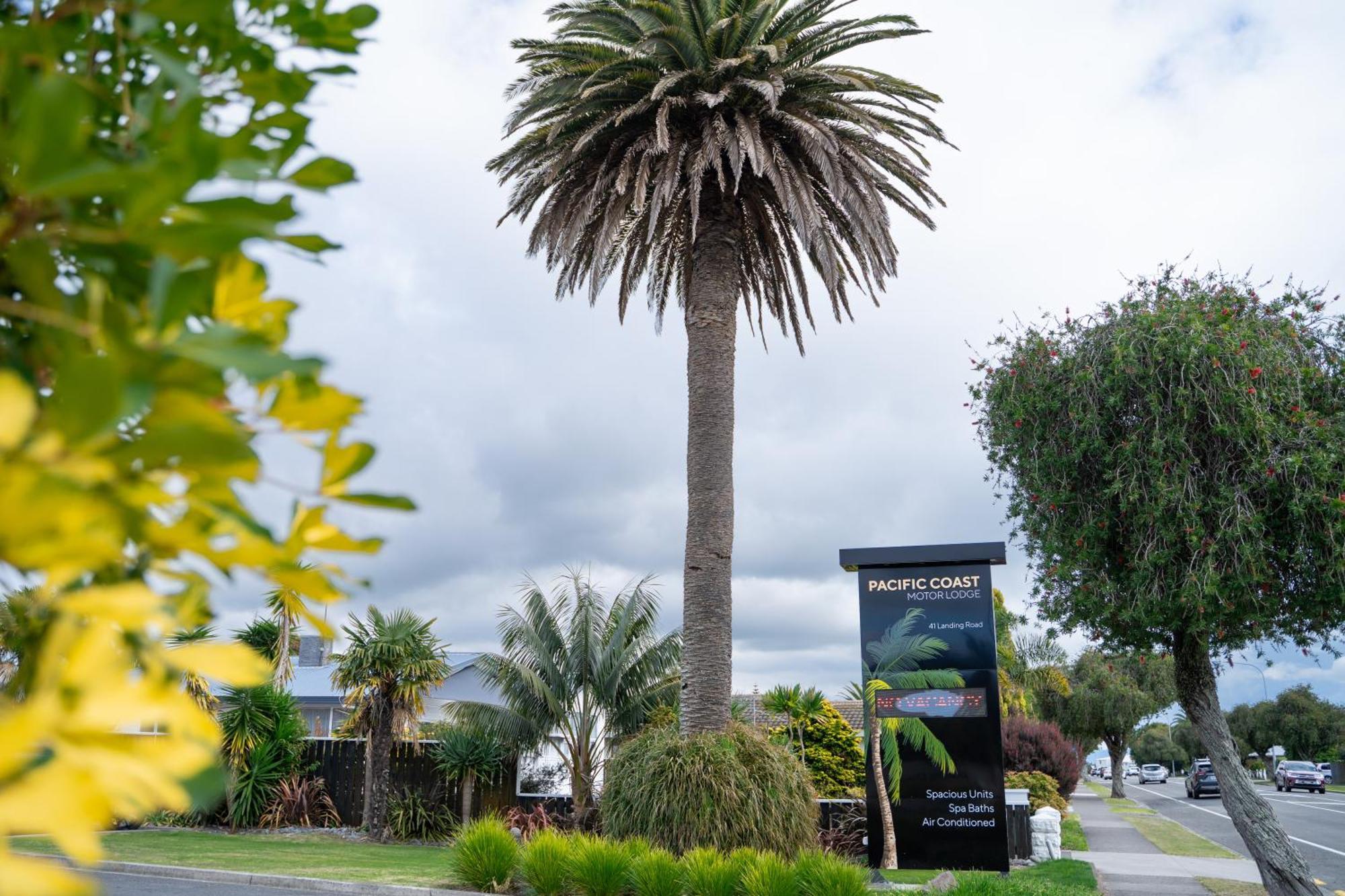 Pacific Coast Motor Lodge Whakatane Exteriér fotografie
